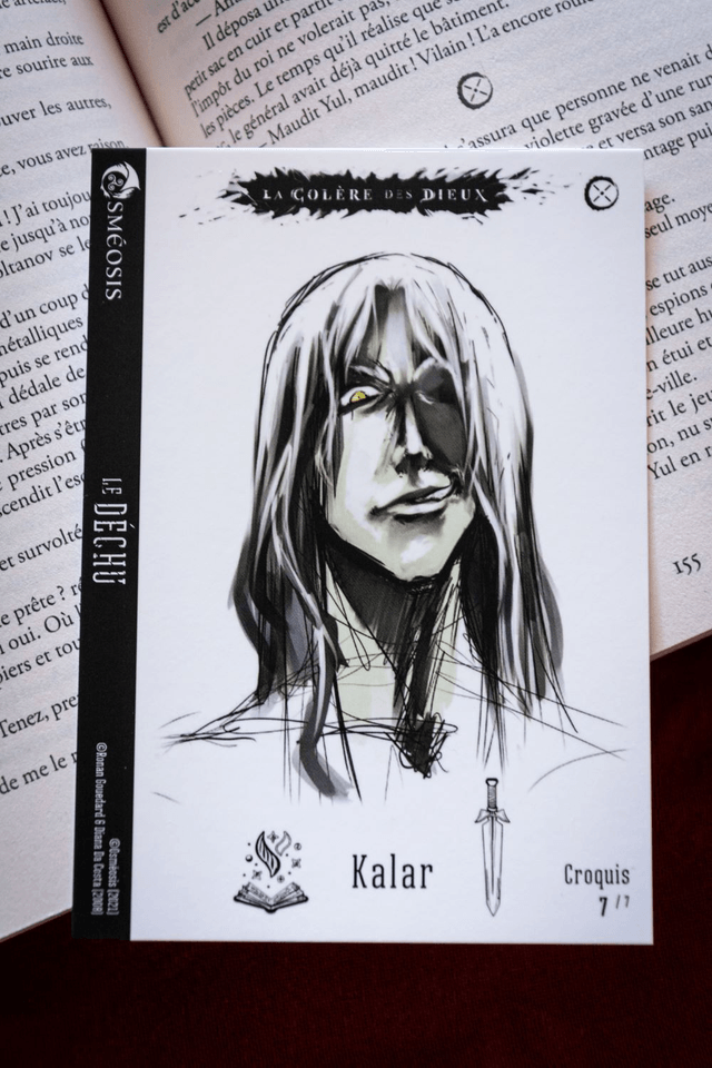 Cartes Illustrées "Le Déchu t.1" : fiches chara-design (spéciales Ulule)