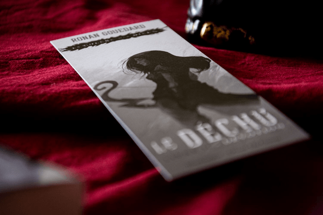 Marque-page "Le Déchu t.2" (spécial Ulule)