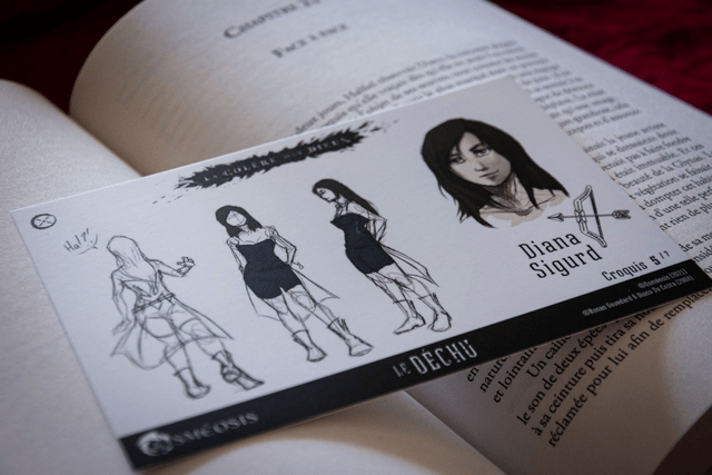 Cartes Illustrées "Le Déchu t.1" : fiches chara-design (spéciales Ulule)