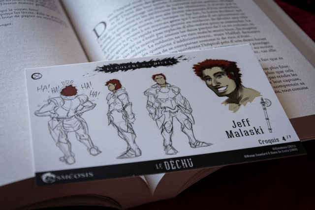 Cartes Illustrées "Le Déchu t.1" : fiches chara-design (spéciales Ulule)