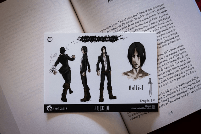 Cartes Illustrées "Le Déchu t.1" : fiches chara-design (spéciales Ulule)