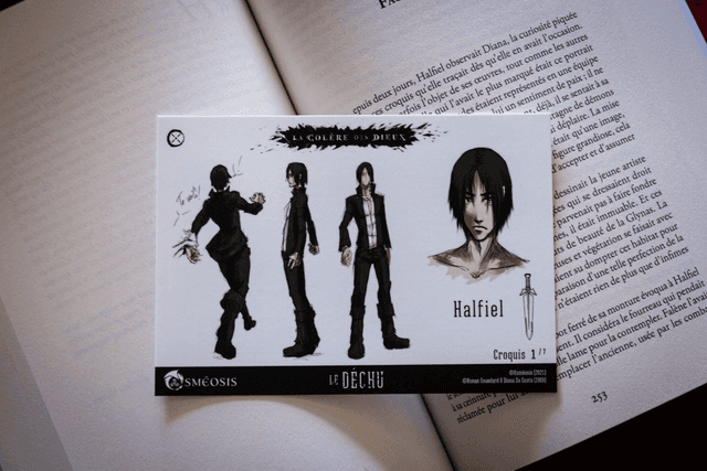 Cartes Illustrées &quot;Le Déchu t.1&quot; : fiches chara-design (spéciales Ulule)